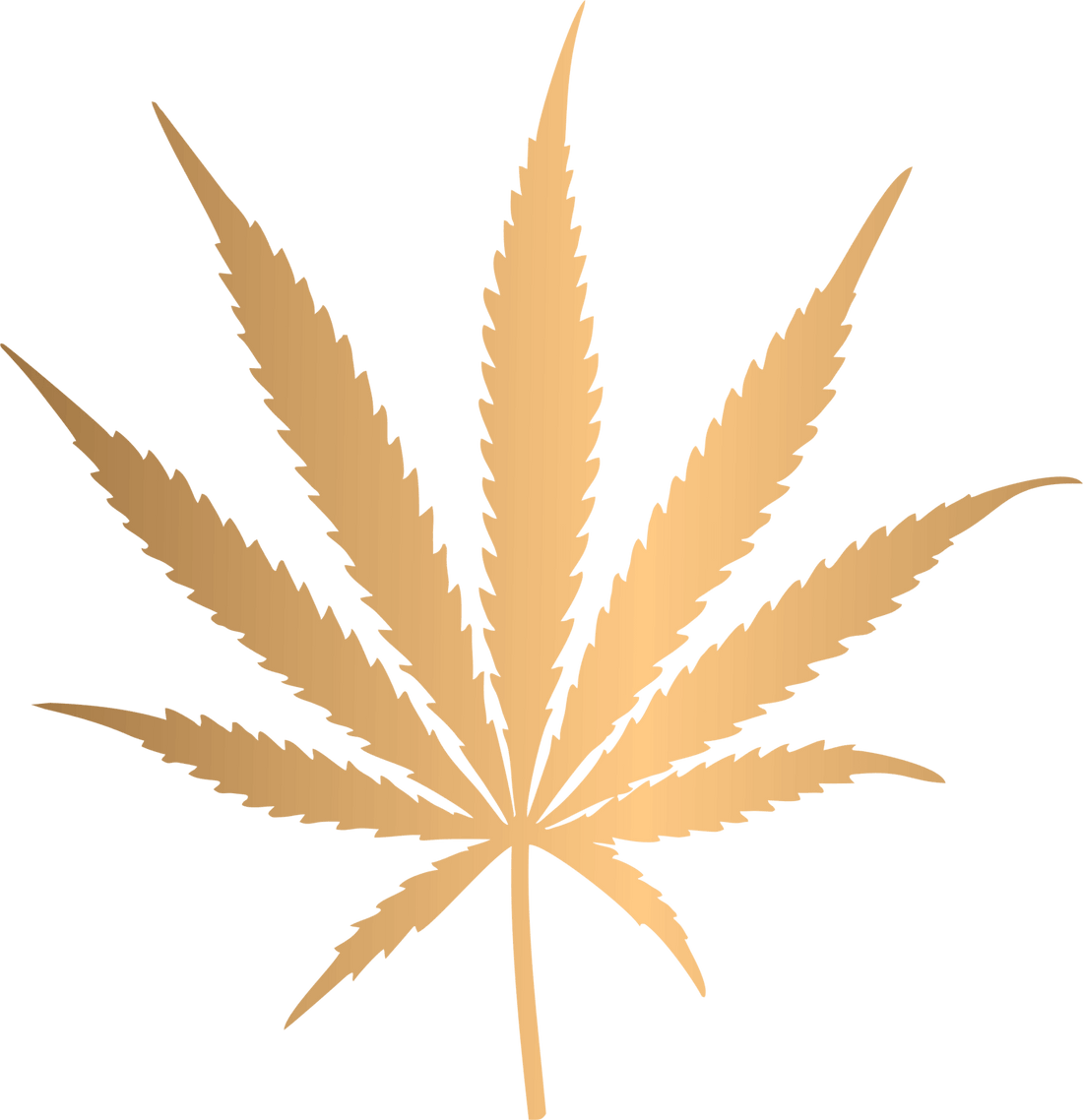 INGREDIENTES NATURALES PRINCIPALES